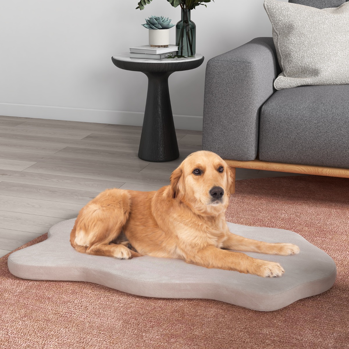 Orthopädisches Hundebett für große Hunde mit Memory-Schaum-Unterstützung & abnehmbarem Bezug Beige