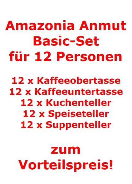 Villeroy & Boch Amazonia Anmut Basic-Set für 12 Personen / 60 Teile