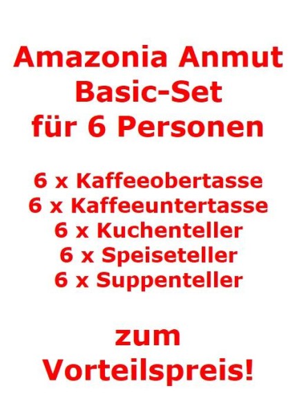 Villeroy & Boch Amazonia Anmut Basic-Set für 6 Personen / 30 Teile