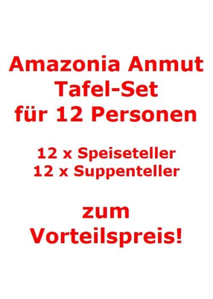 Villeroy & Boch Amazonia Anmut Tafel-Set für 12 Personen / 24 Teile