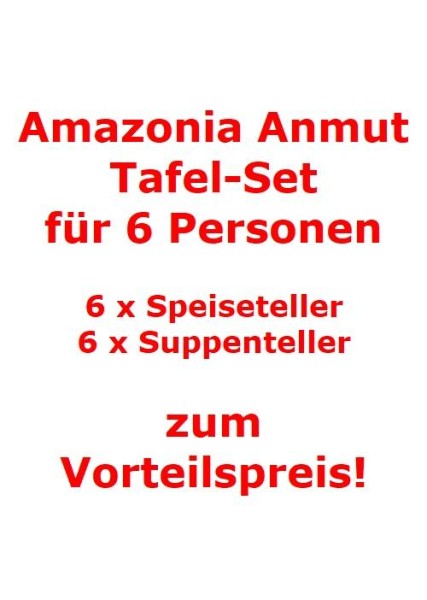 Villeroy & Boch Amazonia Anmut Tafel-Set für 6 Personen / 12 Teile