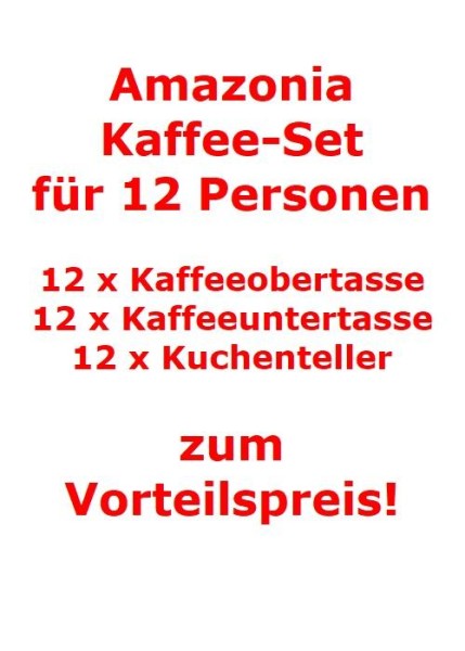 Villeroy & Boch Amazonia Kaffee-Set für 12 Personen / 36 Teile