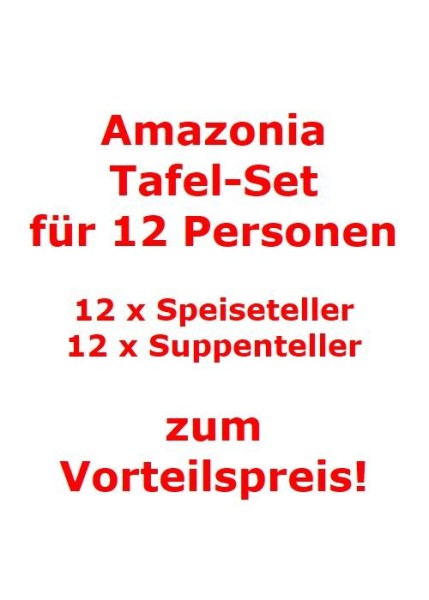 Villeroy & Boch Amazonia Tafel-Set für 12 Personen / 24 Teile