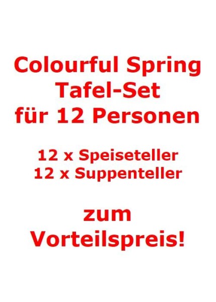 Villeroy & Boch Colourful Spring Tafel-Set für 12 Personen / 24 Teile