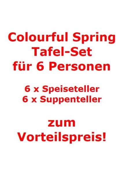 Villeroy & Boch Colourful Spring Tafel-Set für 6 Personen / 12 Teile