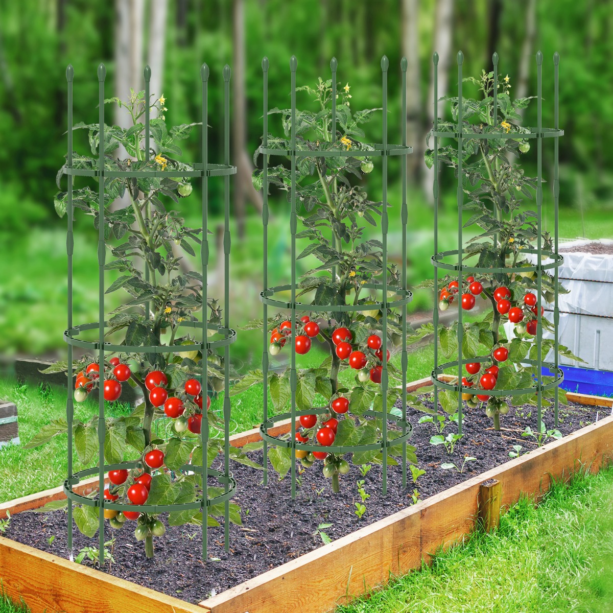 3er Set Tomaten Rankhilfe mit Verstellbare Höhe & 3 Ringe Pflanzenkäfig Pflanzenstütze 154 cm Hoch