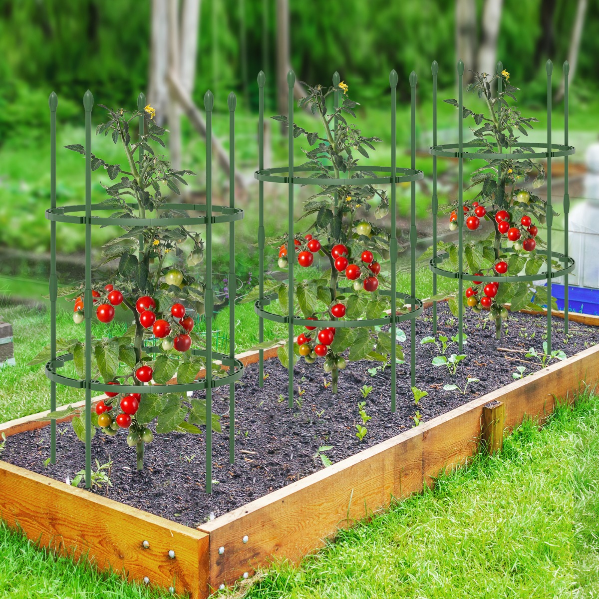 3er Set Tomaten Rankhilfe mit Verstellbare Höhe & 2 Ringe Pflanzenkäfig Pflanzenstütze 102 cm Hoch