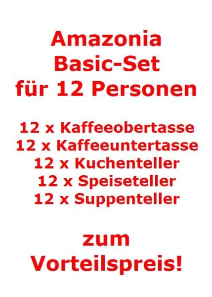 Villeroy & Boch Amazonia Basic-Set für 12 Personen / 60 Teile