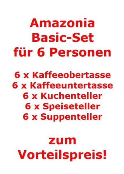 Villeroy & Boch Amazonia Basic-Set für 6 Personen / 30 Teile