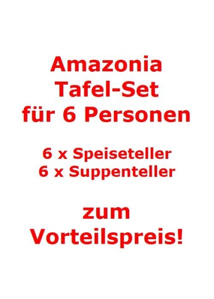 Villeroy & Boch Amazonia Tafel-Set für 6 Personen / 12 Teile