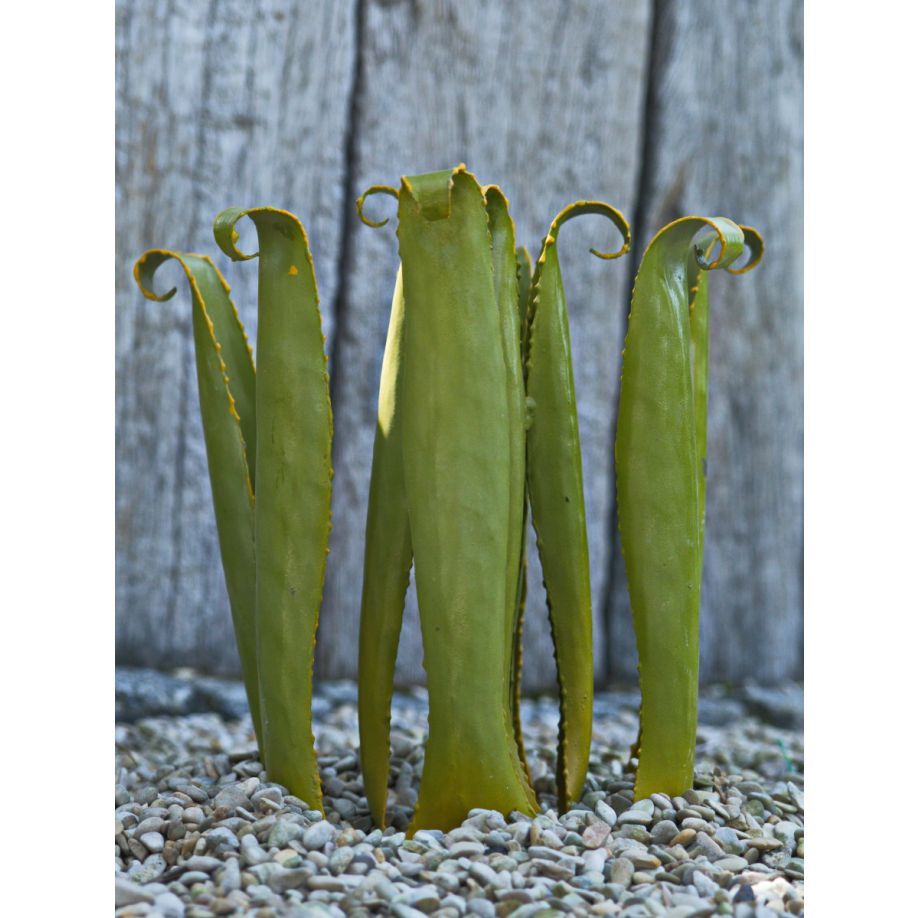 Gartenoase „Sansevieria“, S, Eisen