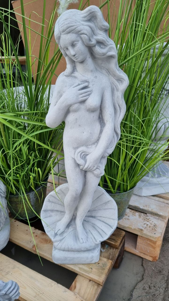 Gartenfigur „Die Geburt der Venus“, medium, antik grau