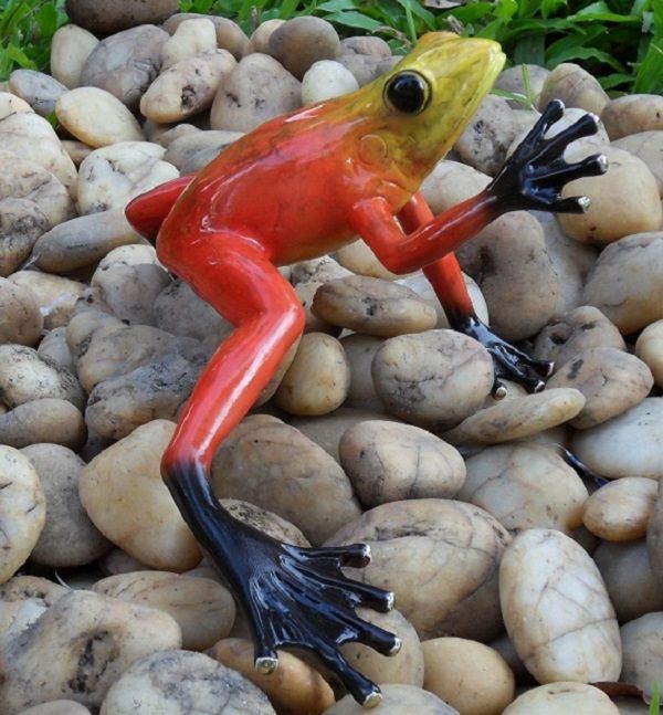 Bronzefigur Regenwaldfrosch Rot