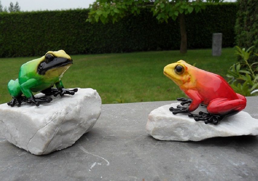 Bronzefigur Regenwaldfrosch Grün und Rot