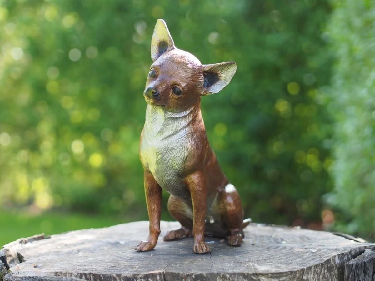 Bronzefigur kleiner Chihuahua